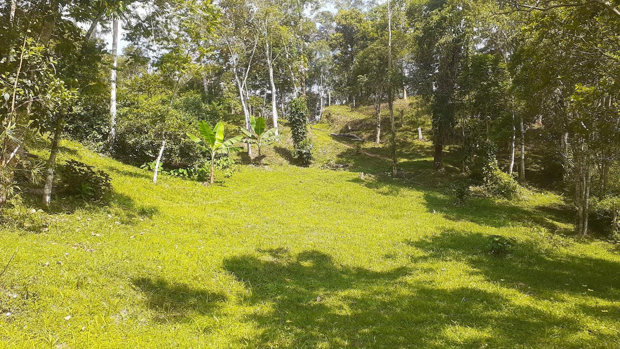 Kitnet Em Meio A Mata Atlantica Juquitiba Buitenkant foto