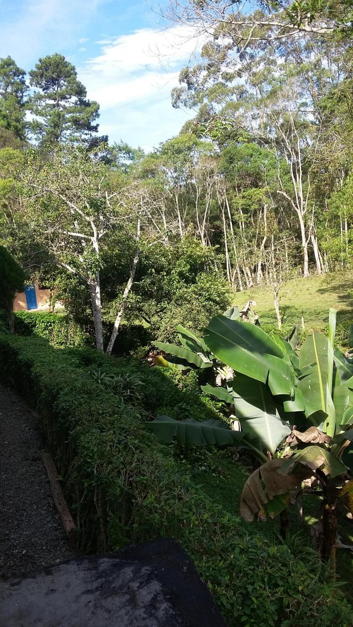 Kitnet Em Meio A Mata Atlantica Juquitiba Buitenkant foto