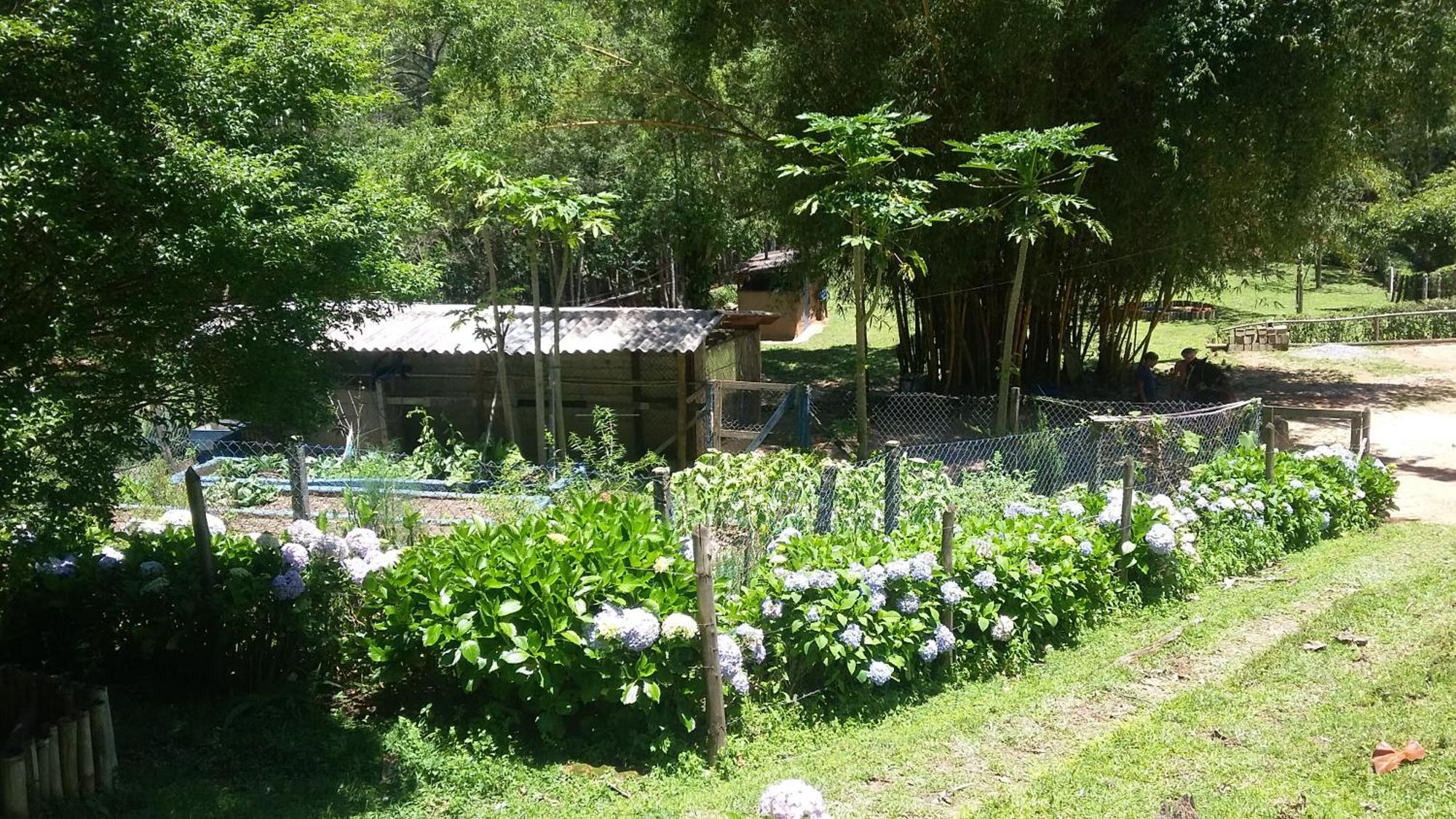 Kitnet Em Meio A Mata Atlantica Juquitiba Buitenkant foto